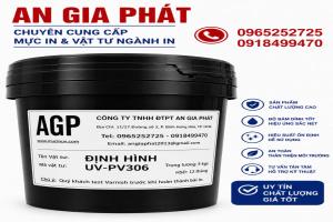ĐỊNH HÌNH PV306